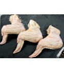 120-150克特大全翼 Extra Large Chicken Whole Wings 120-150g